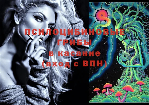 мескалин Арсеньев